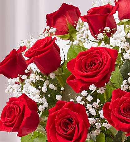 Red Roses Gift Club